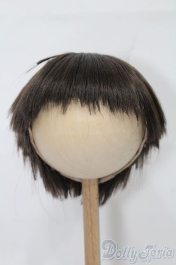 画像1: 8-9inch/ウィッグ S-25-12-14-368-TO-ZS (1)