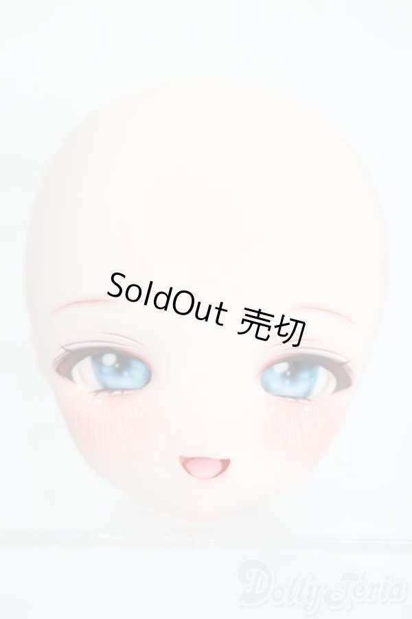 画像1: DD/DDH-01カスタムヘッド(うめよ様製) S-25-10-05-157-TO-ZS (1)