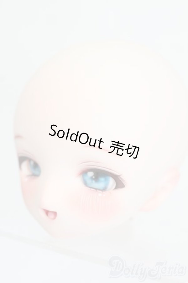 画像2: DD/DDH-01カスタムヘッド(うめよ様製) S-25-10-05-157-TO-ZS (2)