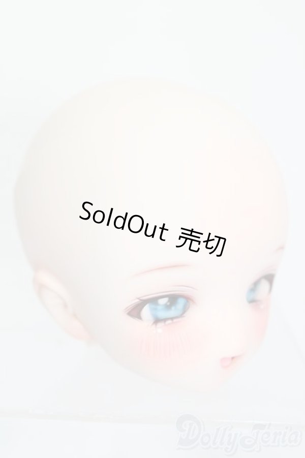 画像3: DD/DDH-01カスタムヘッド(うめよ様製) S-25-10-05-157-TO-ZS (3)