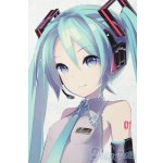 画像: DD/初音ミク S-25-10-05-201-TO-ZS