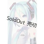 画像: DD/初音ミク S-25-11-23-675-TO-ZS