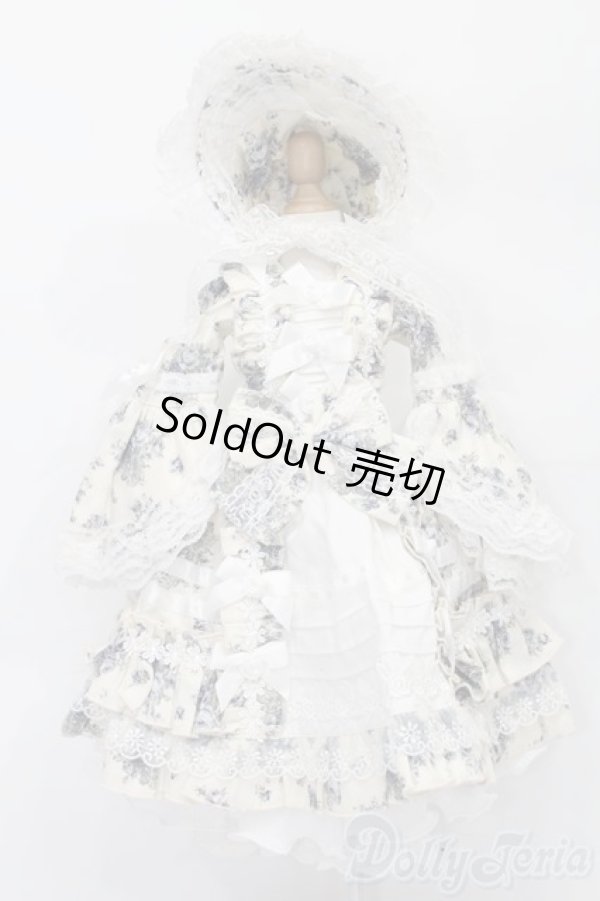 画像1: SD/OF オンディーヌ様製ドレスセット S-25-11-23-317-TO-ZS (1)