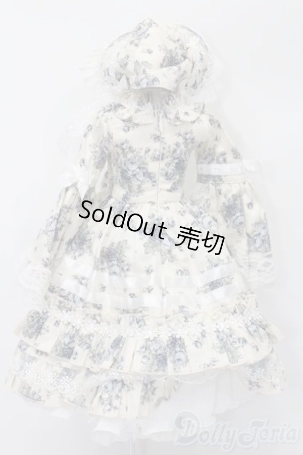 画像3: SD/OF オンディーヌ様製ドレスセット S-25-11-23-317-TO-ZS (3)