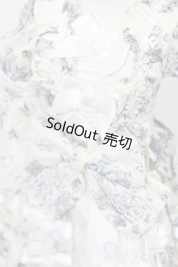 画像4: SD/OF オンディーヌ様製ドレスセット S-25-11-23-317-TO-ZS (4)