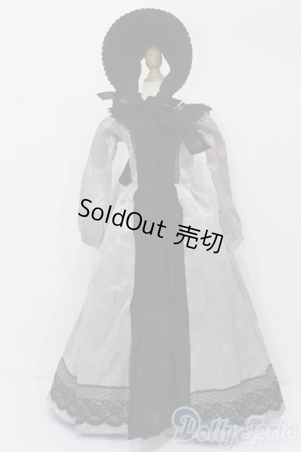 画像1: SD/OF：VOLKS製Eternal Rose　エターナルローズ S-25-11-23-320-TO-ZS (1)