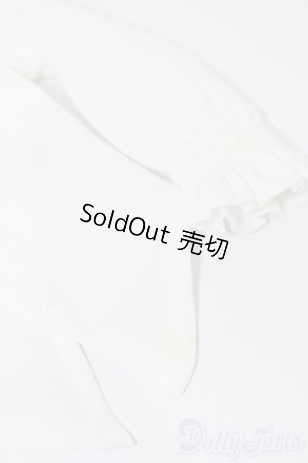 画像7: MSD&SDM/OF ブラックバッカラ・ミニ(VOLKS製) S-25-12-21-539-TO-ZS (7)