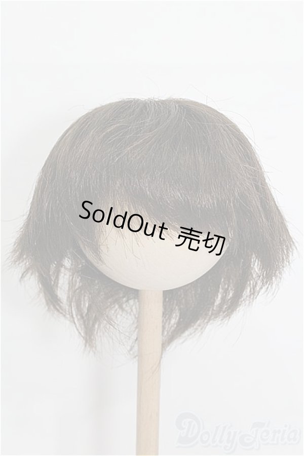 画像1: 8-9inch/ウィッグ S-25-12-28-229-TO-ZS (1)