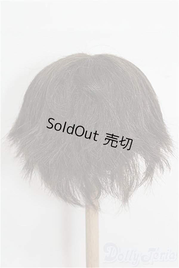 画像3: 8-9inch/ウィッグ S-25-12-28-229-TO-ZS (3)