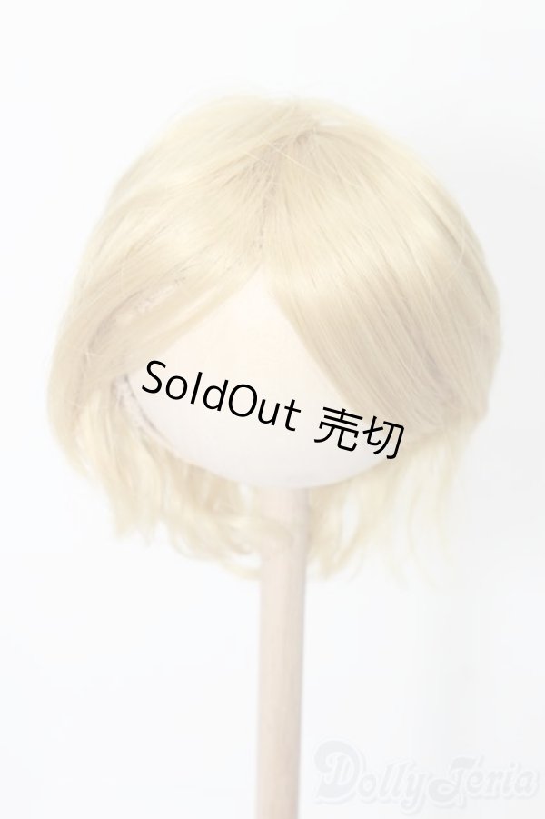 画像1: 8-9inch/ウィッグ S-25-12-14-375-TO-ZS (1)