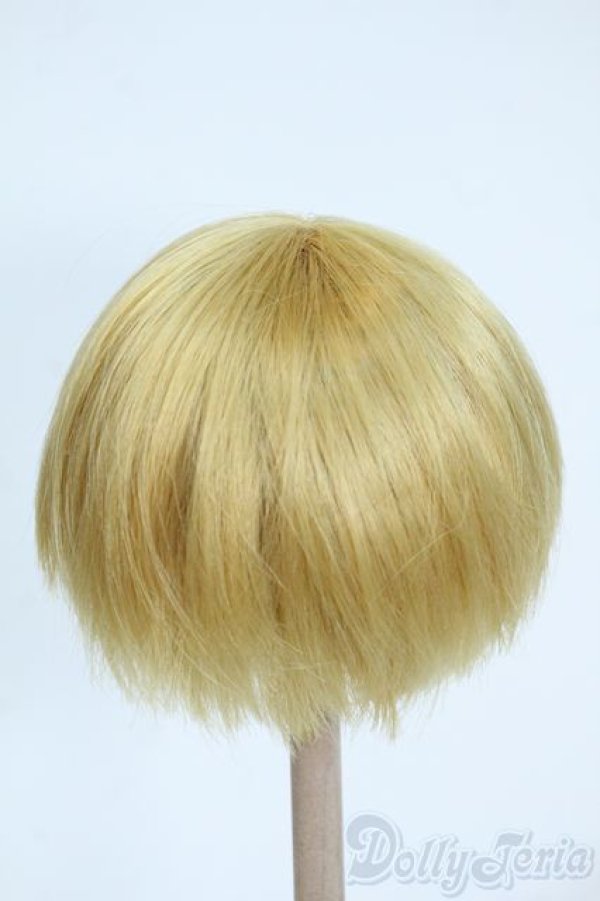 画像2: 8-9inch/ウィッグ Y-25-11-26-118-TO-ZY (2)