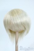 画像1: 8-9inch/ウィッグ Y-25-11-26-117-TO-ZY (1)