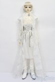 画像6: BJD CROBI /R-Line:Lance  Vampire limited S-25-10-26-252-NY-ZS (6)