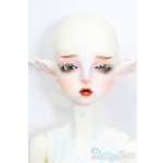 画像: gem of DOLL/Gaia S-25-10-12-052-TO-ZS