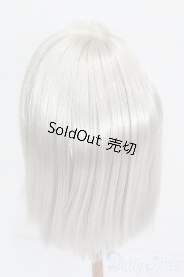 画像2: 10-11inch/ウィッグ S-25-12-07-374-TO-ZS (2)