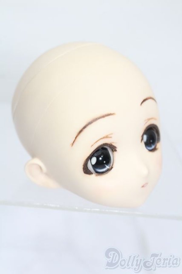 画像3: PARABOX/PB-6006Bヘッドのみ S-25-11-30-447-TO-ZS (3)