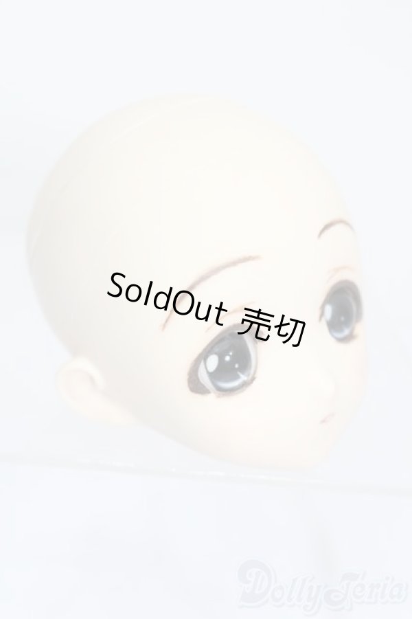 画像3: PARABOX/PB-6006Bヘッドのみ S-26-01-25-385-TO-ZS (3)