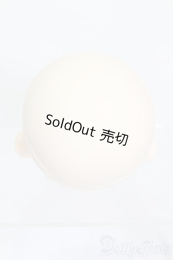 画像4: PARABOX/PB-6006Bヘッドのみ S-26-01-25-385-TO-ZS (4)