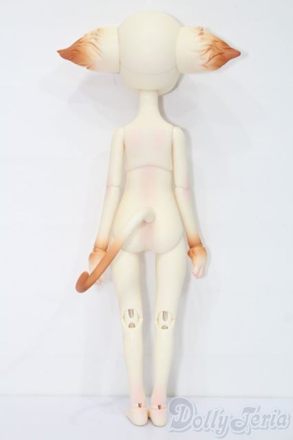 画像9: Dollzone/Miss Kitty S-26-01-04-394-TO-ZS (9)