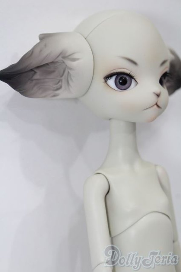 画像3: Dollzone/Miss Kitty S-26-01-04-389-TO-ZS (3)