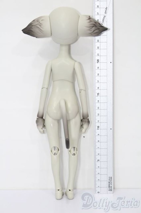 画像5: Dollzone/Miss Kitty S-26-01-04-389-TO-ZS (5)