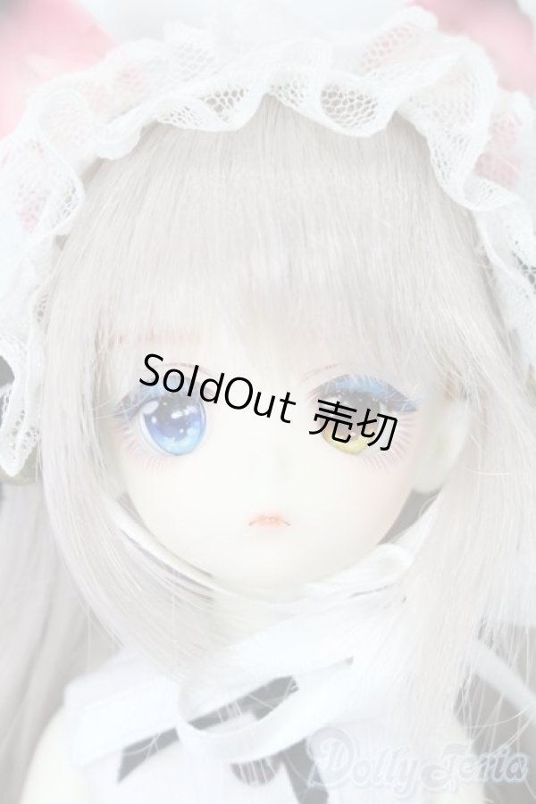 画像1: DOLL ZONE/Miyou Odd-Eyed Maid Cat Girl ver. Ltd 女の子 S-26-01-04-387-TO-ZS (1)