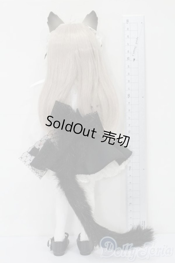 画像6: DOLL ZONE/Miyou Odd-Eyed Maid Cat Girl ver. Ltd 女の子 S-26-01-04-387-TO-ZS (6)