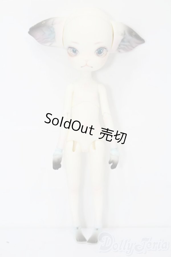 画像8: DOLK×DOLL ZONE/Mini Kitty Twinkle Star S-26-01-04-392-TO-ZS (8)