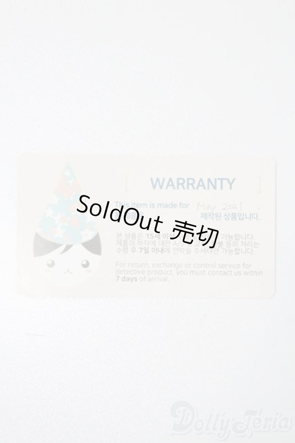 画像3: SWITCH/60cmBOYボディ S-25-10-19-059-NY-ZS (3)