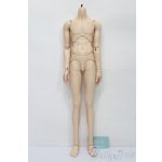 画像: SWITCH/65cmBOYボディ S-25-10-19-060-TO-ZS