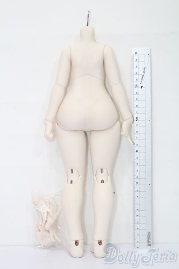 画像3: JELLY DOLLY/1/4ボディ S-25-10-26-054-TO-ZS (3)