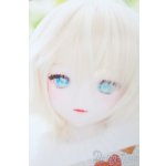 画像: DD/DDH-09カスタムヘッド(きっこりぃ様製) S-25-10-19-154-TO-ZS