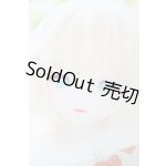 画像: DD/DDH-09カスタムヘッド(きっこりぃ様製) S-25-12-21-353-TO-ZS