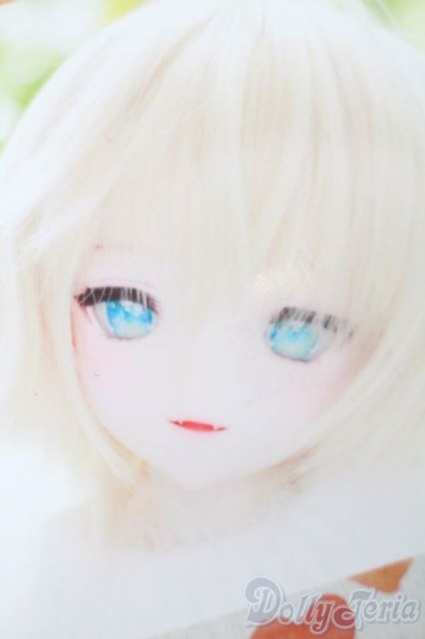 画像1: DD/DDH-09カスタムヘッド(きっこりぃ様製) S-25-12-21-353-TO-ZS (1)