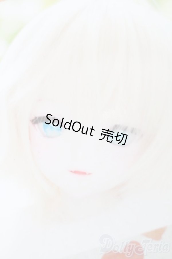 画像1: DD/DDH-09カスタムヘッド(きっこりぃ様製) S-25-12-21-353-TO-ZS (1)