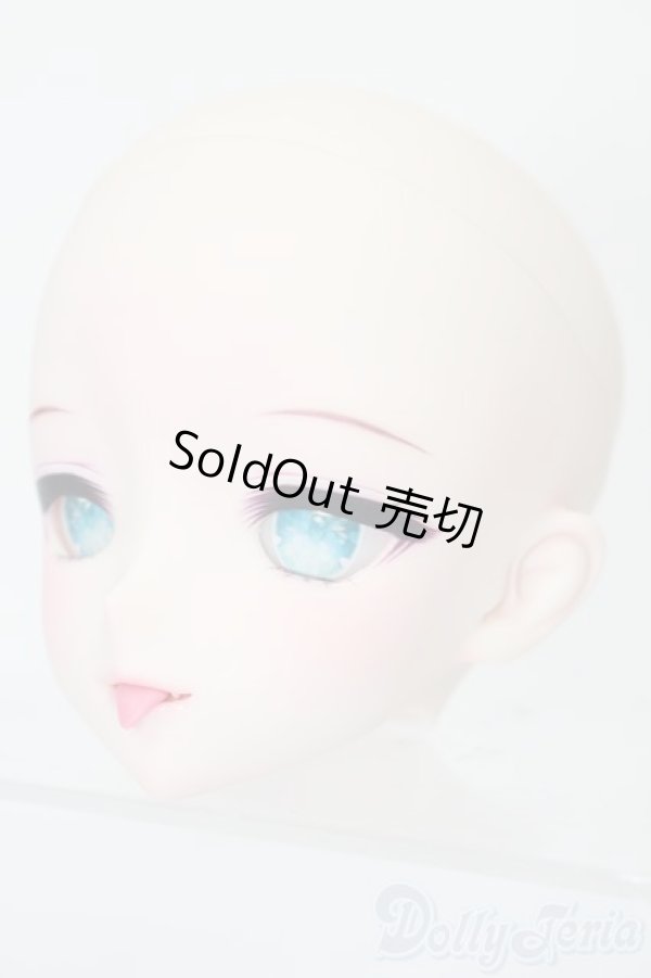 画像3: DD/DDH-09カスタムヘッド(きっこりぃ様製) S-25-12-21-353-TO-ZS (3)