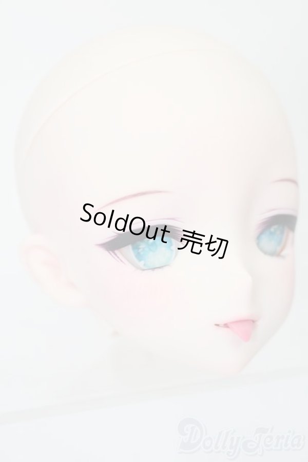 画像4: DD/DDH-09カスタムヘッド(きっこりぃ様製) S-25-12-21-353-TO-ZS (4)