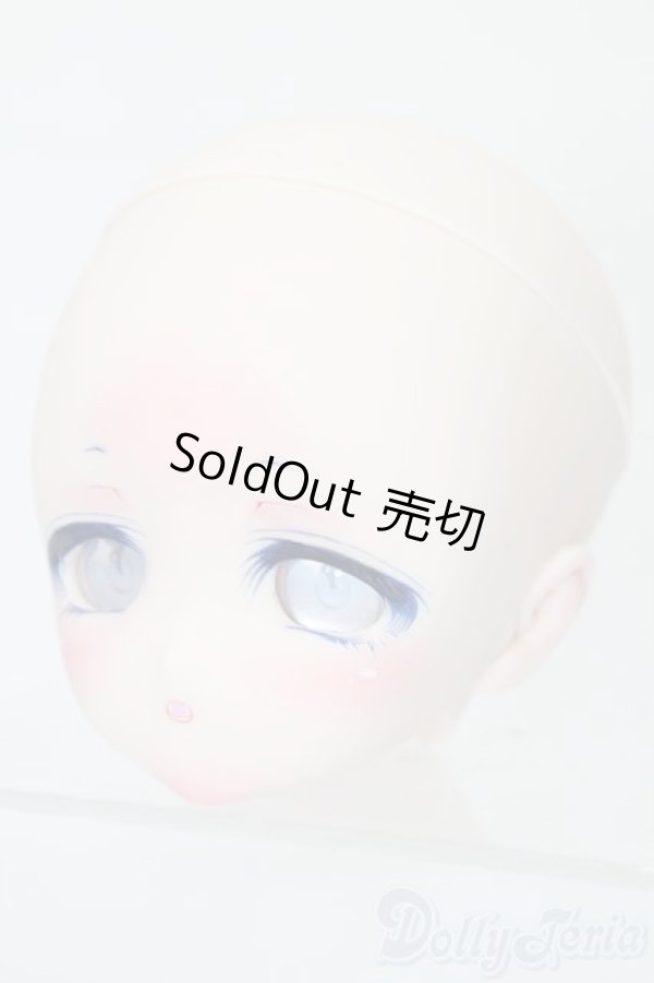 画像3: DD/DDH-01カスタムヘッド S-25-12-21-389-TO-ZS (3)