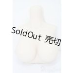 画像: DD/ラジカル様製パーツ S-25-10-19-155-TO-ZS