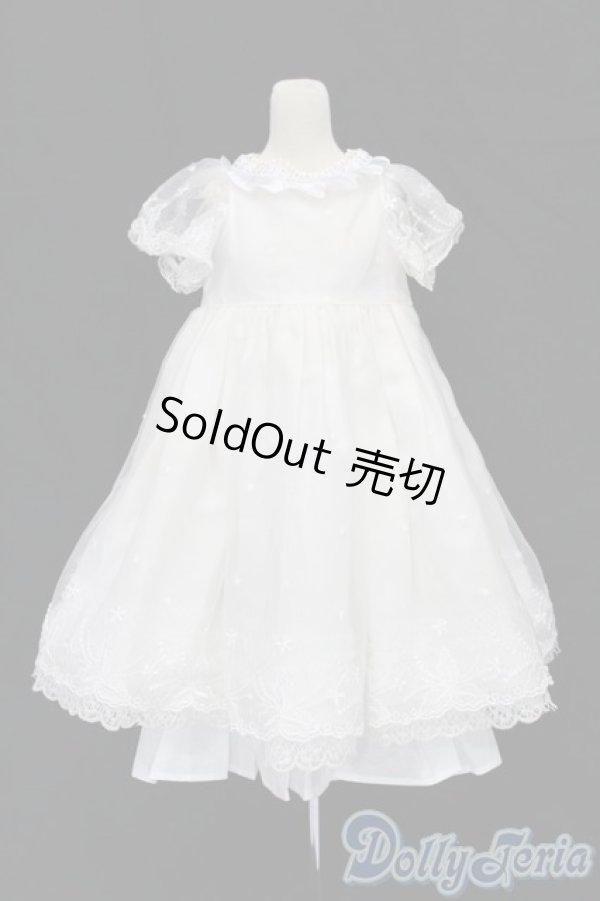 画像1: DD/OF:ワンピース S-25-10-19-180-TO-ZS (1)