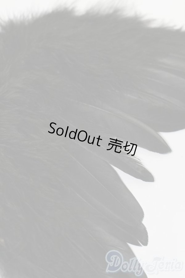 画像3: SDM＆MSD/OF:小物 S-25-11-09-184-YB-ZS (3)