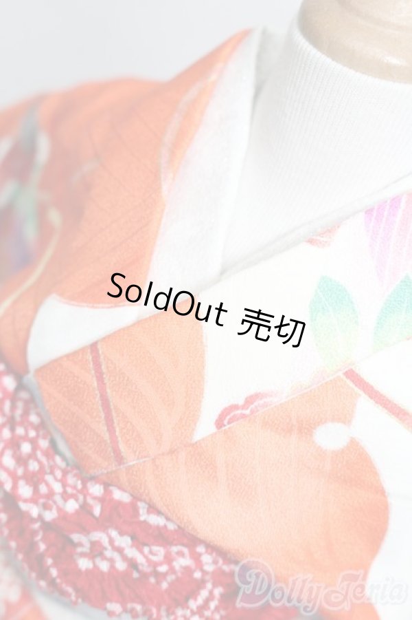 画像4: SD/OF:衣装セット S-25-11-09-155-YB-ZS (4)