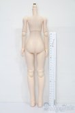 画像2: オビツ45ｃｍ/女の子ボディ S-25-10-19-252-TO-ZS (2)