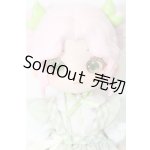 画像: LIRORO(リロロ)「童話の家」/エンドウ豆のお姫様 S-25-11-23-414-TO-ZS