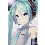 画像: DD/初音ミク Reboot S-25-10-26-053-TO-ZS