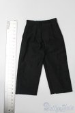 画像2: SDM＆MSD/OF:パンツ S-25-11-02-145-TO-ZS (2)
