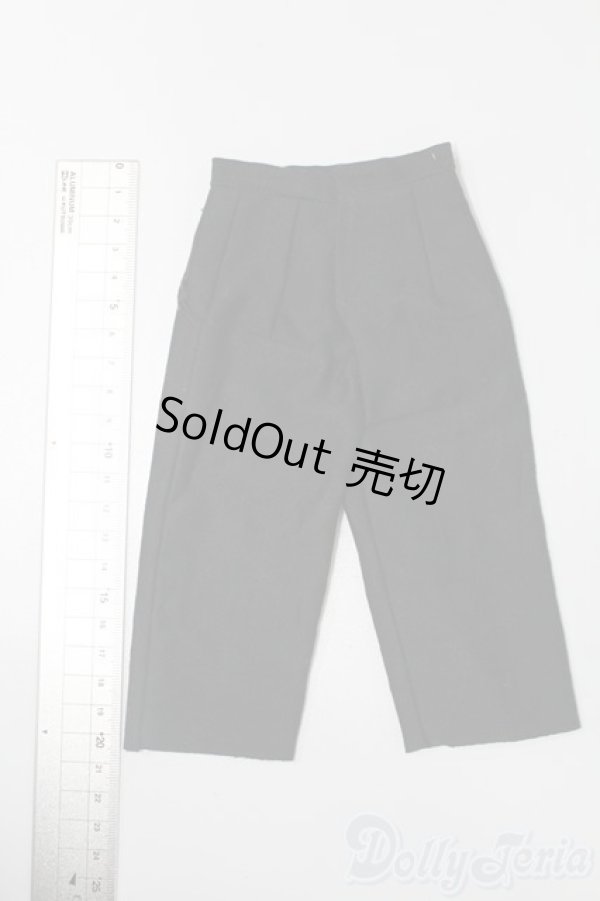 画像2: SDM＆MSD/OF:パンツ S-25-11-02-145-TO-ZS (2)