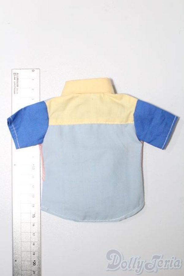 画像2: SDM＆MSD/OF:トップス S-25-11-02-225-TO-ZS (2)