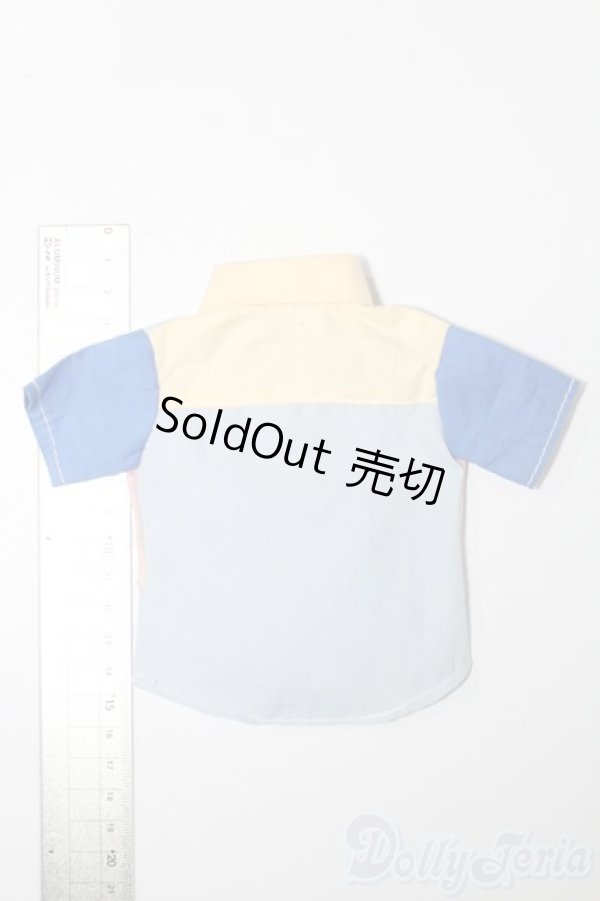 画像2: SDM＆MSD/OF:トップス S-25-11-02-225-TO-ZS (2)