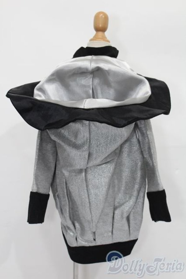 画像3: SD/OF:パーカー S-25-11-02-118-TO-ZS (3)